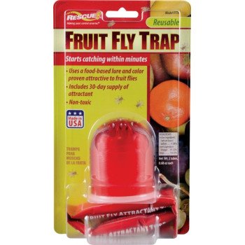 Rescue FFTR-BB4 Fruit Fly Trap, 1, Card