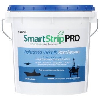 3351 REMOVER PAINT PROF 1GAL  