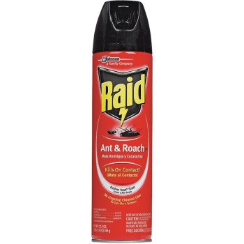 Raid 21613 Ant and Roach Killer, Liquid, Spray Application, 17.5 oz