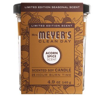 11362 CANDLE SOY ACORN SPICE  