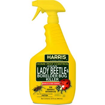 Harris HBXA-32 Beetle Killer, Liquid, Spray Application, 32 oz