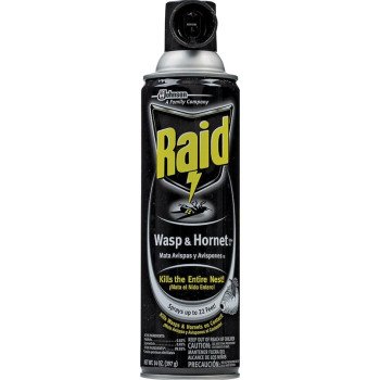 Raid 51367 Wasp and Hornet Killer, Spray Application, 14 oz