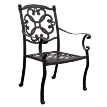 Seasonal Trends SH077 Athena Dining Chair, 24-1/4 in W, 25-3/4 in D, 37 in H, Olefin Cushion Seat