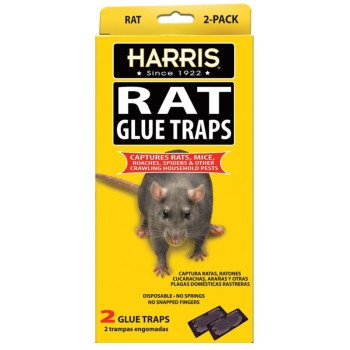 Harris HRG-2 Rat Glue Trap