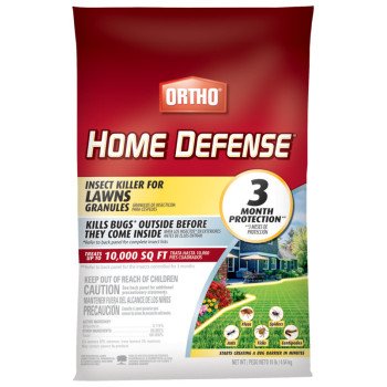 0167420 KILLER INSECT LAWN 10 