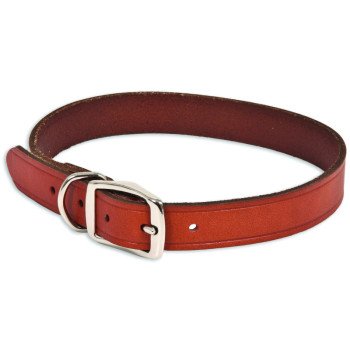 10829 BR LEATHER COLLAR 1X18IN