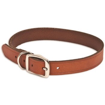 10831 BR LEATHER COLLAR 1X22IN