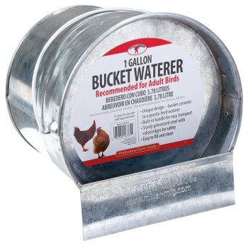 Little Giant 167611 Bucket Poultry Waterer, 1 gal Capacity, Galvanized Steel