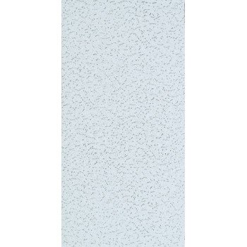 USG Fifth Avenue Series 280 CTN Ceiling Panel, 48 in L, 24 in W, 5/8 in Thick, Directional Fissured Pattern, White